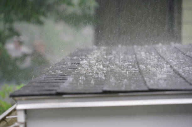 Best Solar Panel Roofing Installation  in Emerson, GA